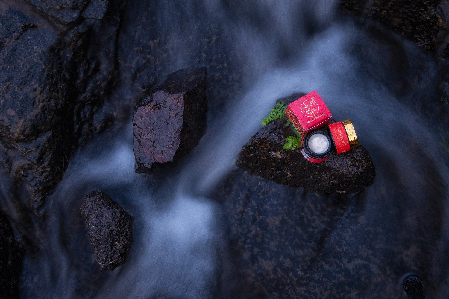 The Hidden Treasure of Mahua: Nature's Gift for Nurture and Nourishment