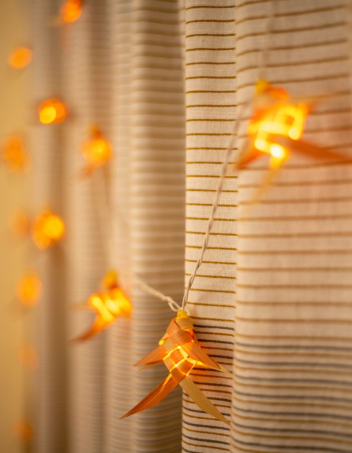 Saranga - Strings of Lights