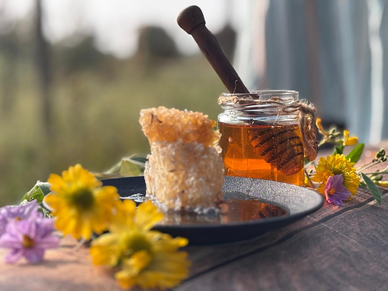 What Makes Wild Honey from Tribals So Special?