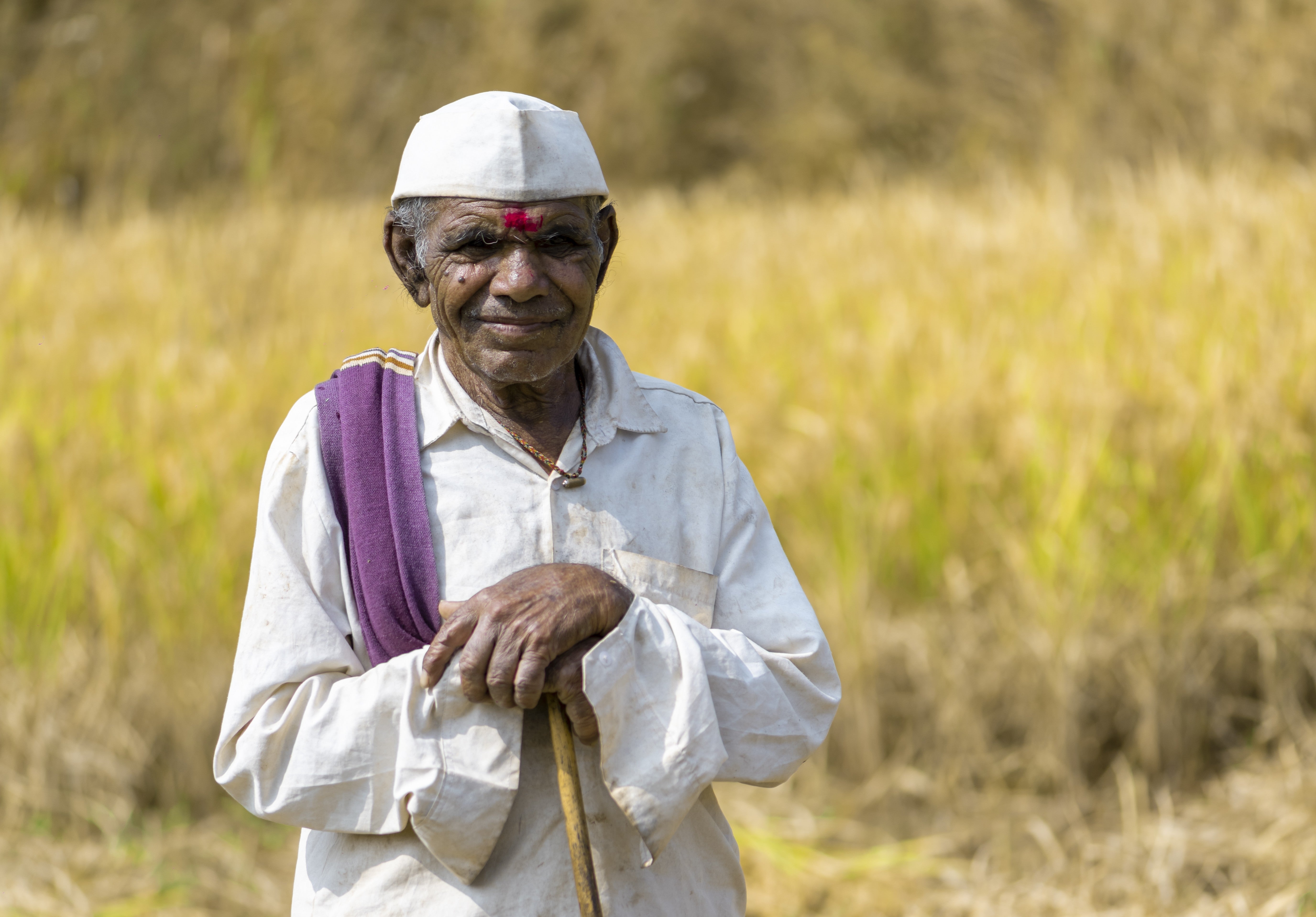 The Role of Tribal Elders: Guardians of Forest Wisdom