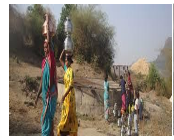 Climate Change and Forest Communities: The First to Feel the Impact