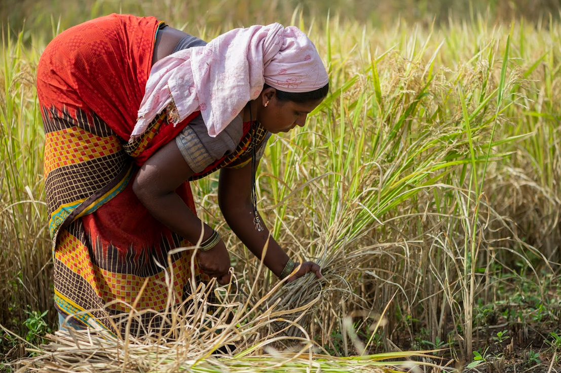 The Hands That Sustain Forest Communities