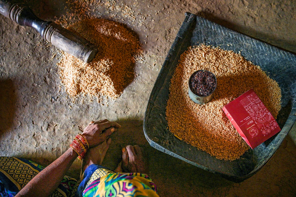 Every Harvest Tells a Story: The Importance of Responsible Forest Collection