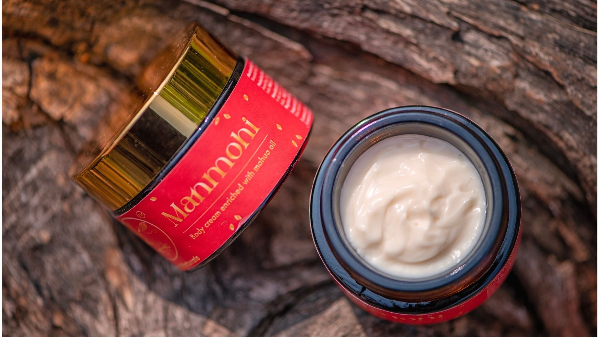 The Power of Mahua Seeds: How a Tiny Seed Supports an Entire Community