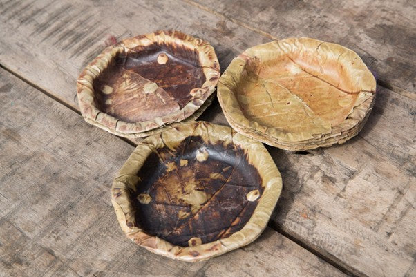 What Urban India Can Learn from Tribal Living About Sustainability