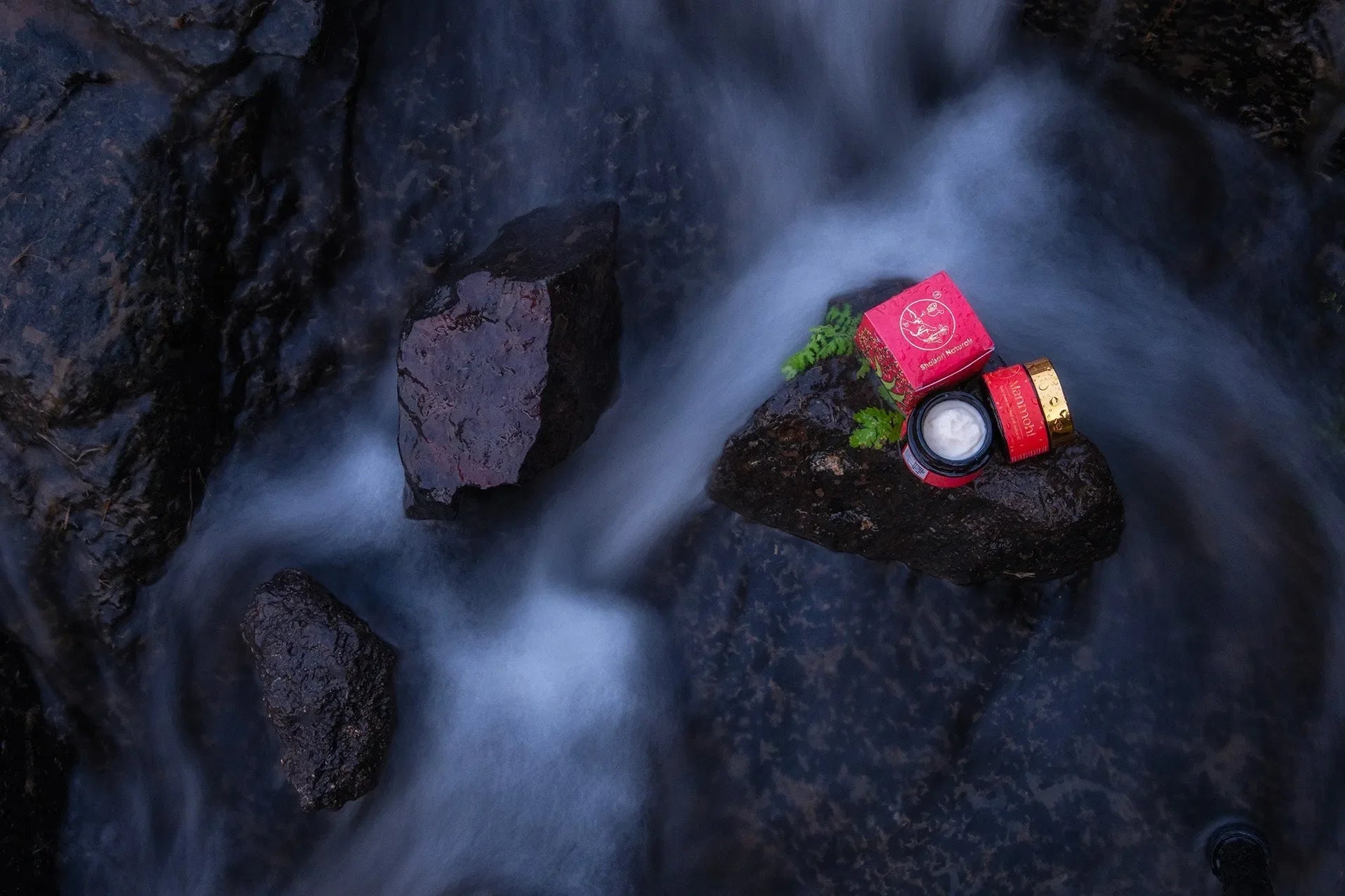 The Hidden Treasure of Mahua: Nature's Gift for Nurture and Nourishment - Shabari Naturals