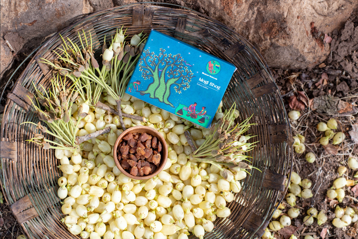 TRADITION ROOTED IN NATURE