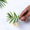 Shabari Naturals Bamboo Earring - cone with bead