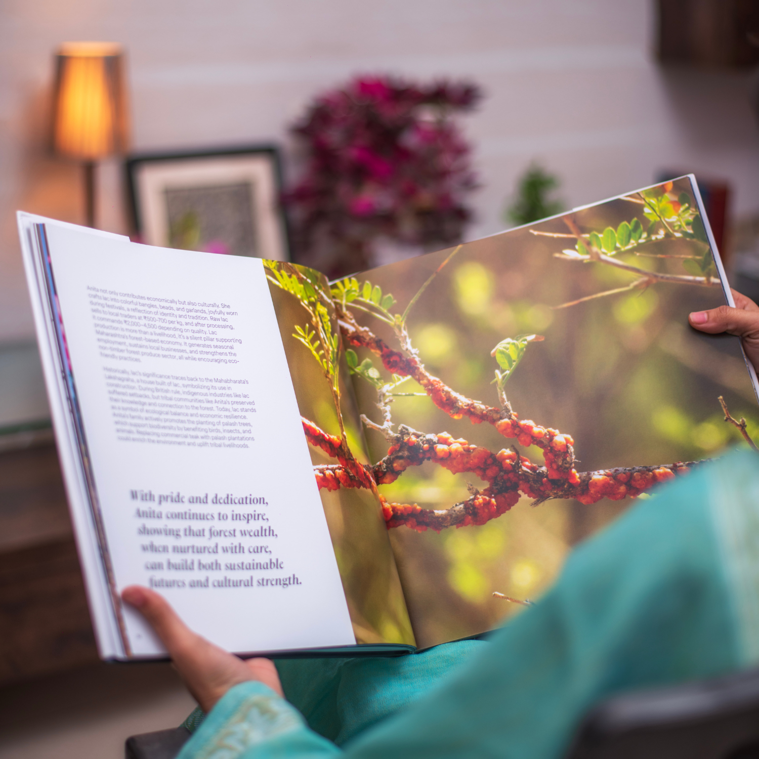 Coffee Table Book