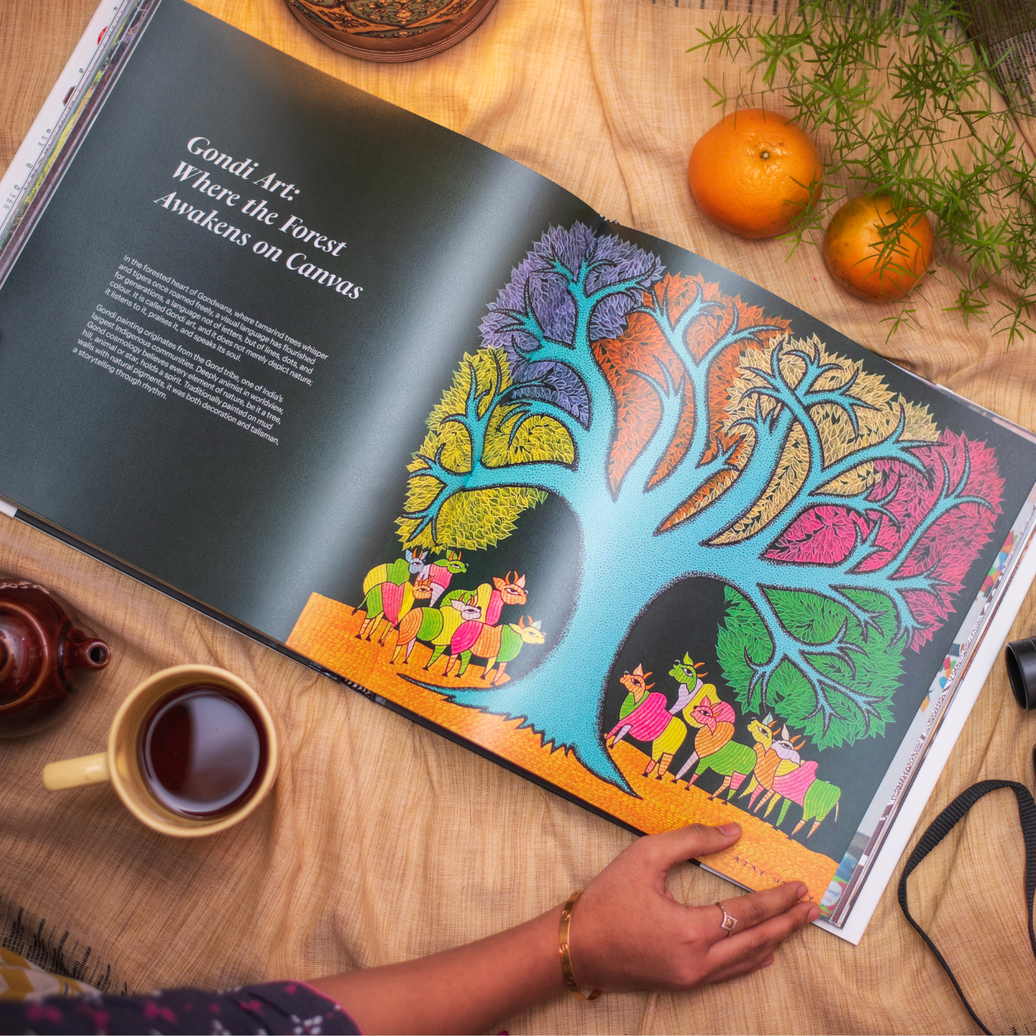 Coffee Table Book