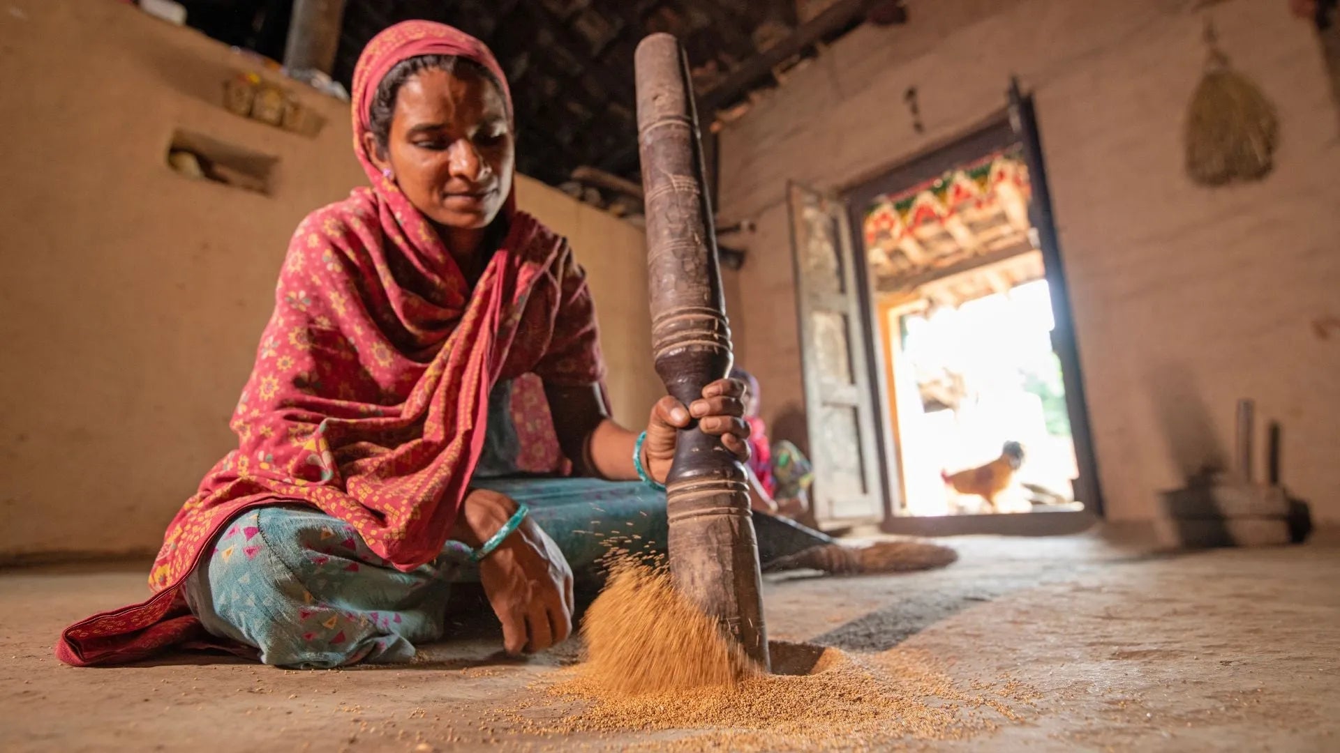 Varai / Bhagar / Barnyard Millet